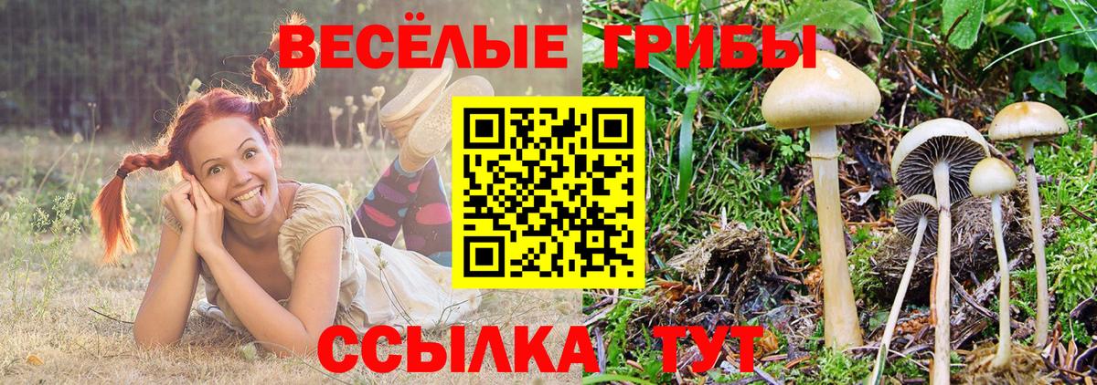 Псилоцибиновые грибы мухоморы Морозовск